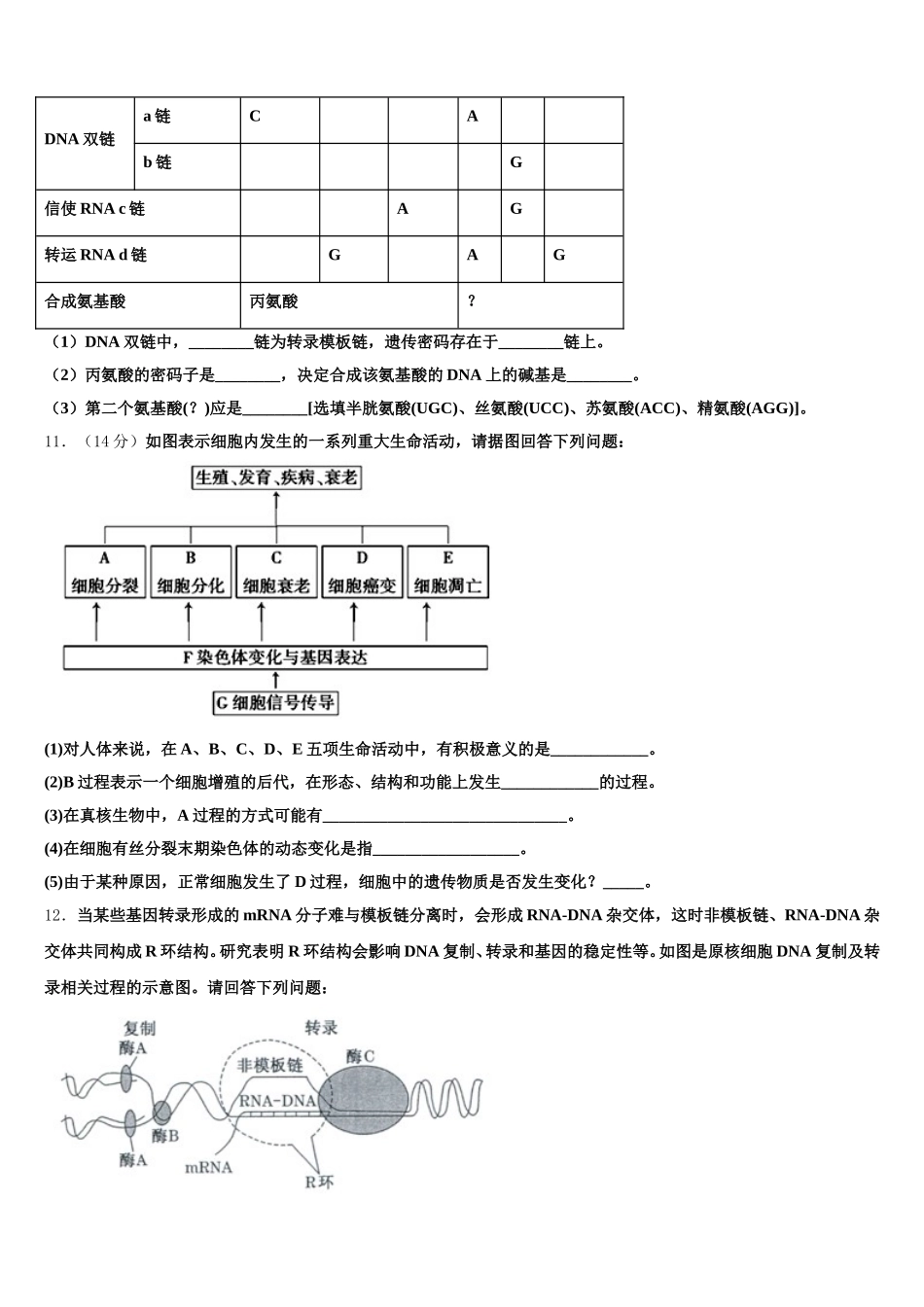 山东省枣庄八中2024-2025学年生物高一下期末统考模拟试题含解析_第3页