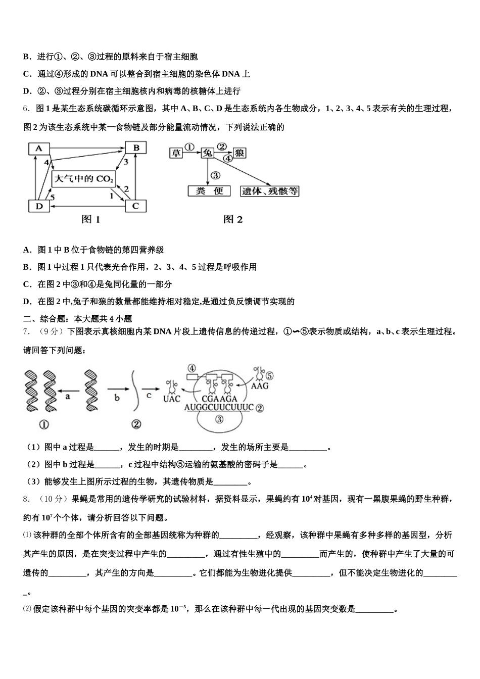 2025年山东省淄博第十中学生物高一下期末质量跟踪监视模拟试题含解析_第2页