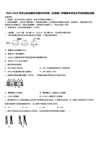 2024-2025学年山东省滕州市盖村中学高一生物第二学期期末学业水平测试模拟试题含解析