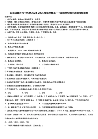 山东省临沂市十九中2024-2025学年生物高一下期末学业水平测试模拟试题含解析