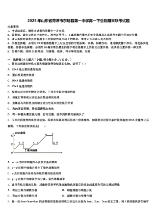 2025年山东省菏泽市东明县第一中学高一下生物期末联考试题含解析