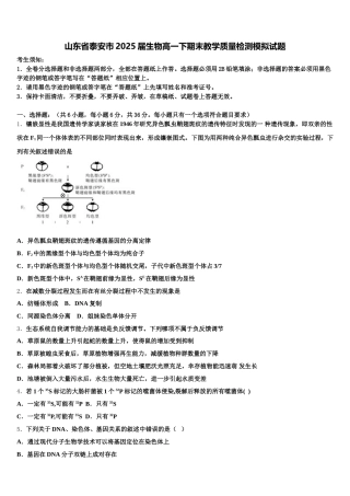 山东省泰安市2025届生物高一下期末教学质量检测模拟试题含解析