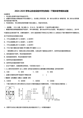 2024-2025学年山东省实验中学生物高一下期末联考模拟试题含解析