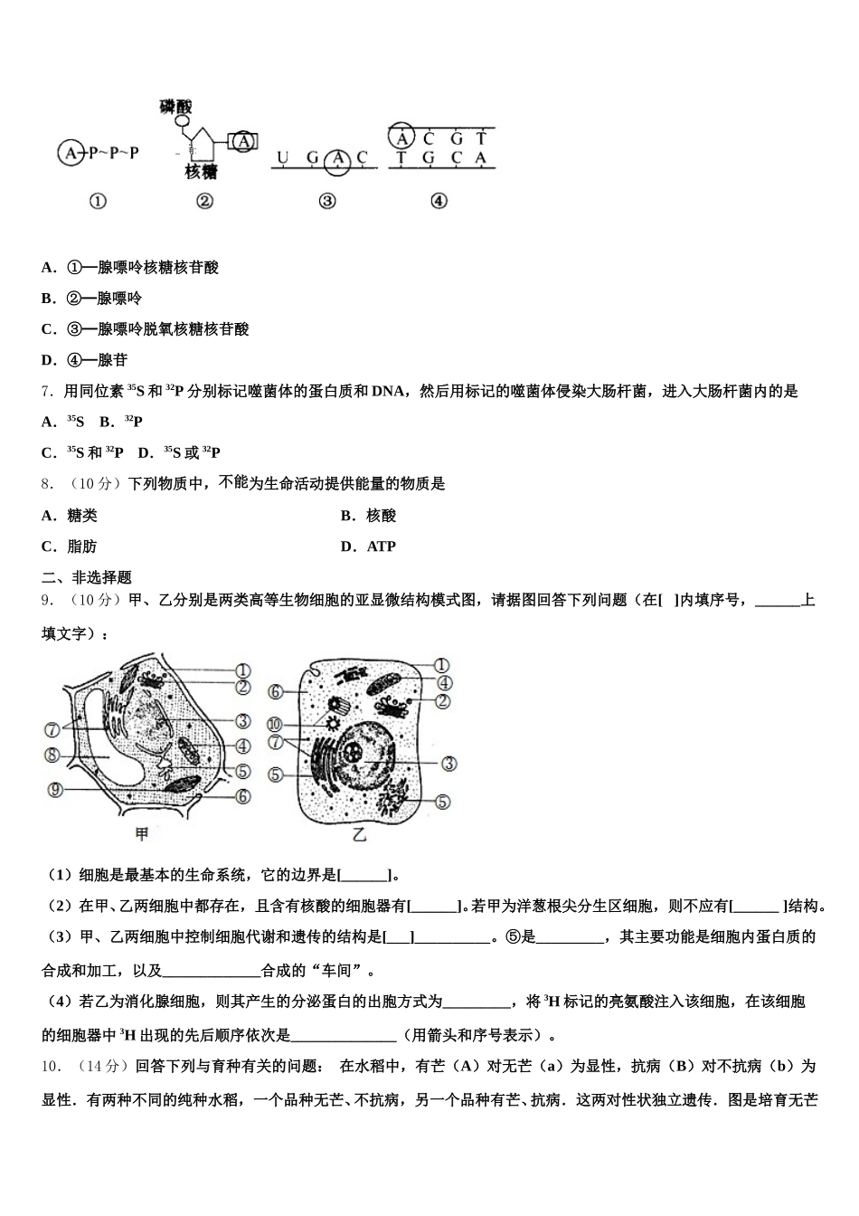 2025届山东省枣庄市生物高一下期末达标测试试题含解析_第2页
