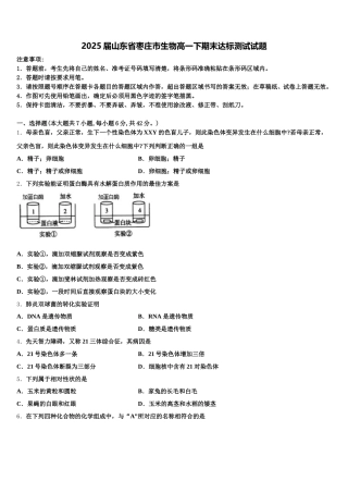2025届山东省枣庄市生物高一下期末达标测试试题含解析