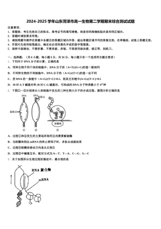 2024-2025学年山东菏泽市高一生物第二学期期末综合测试试题含解析