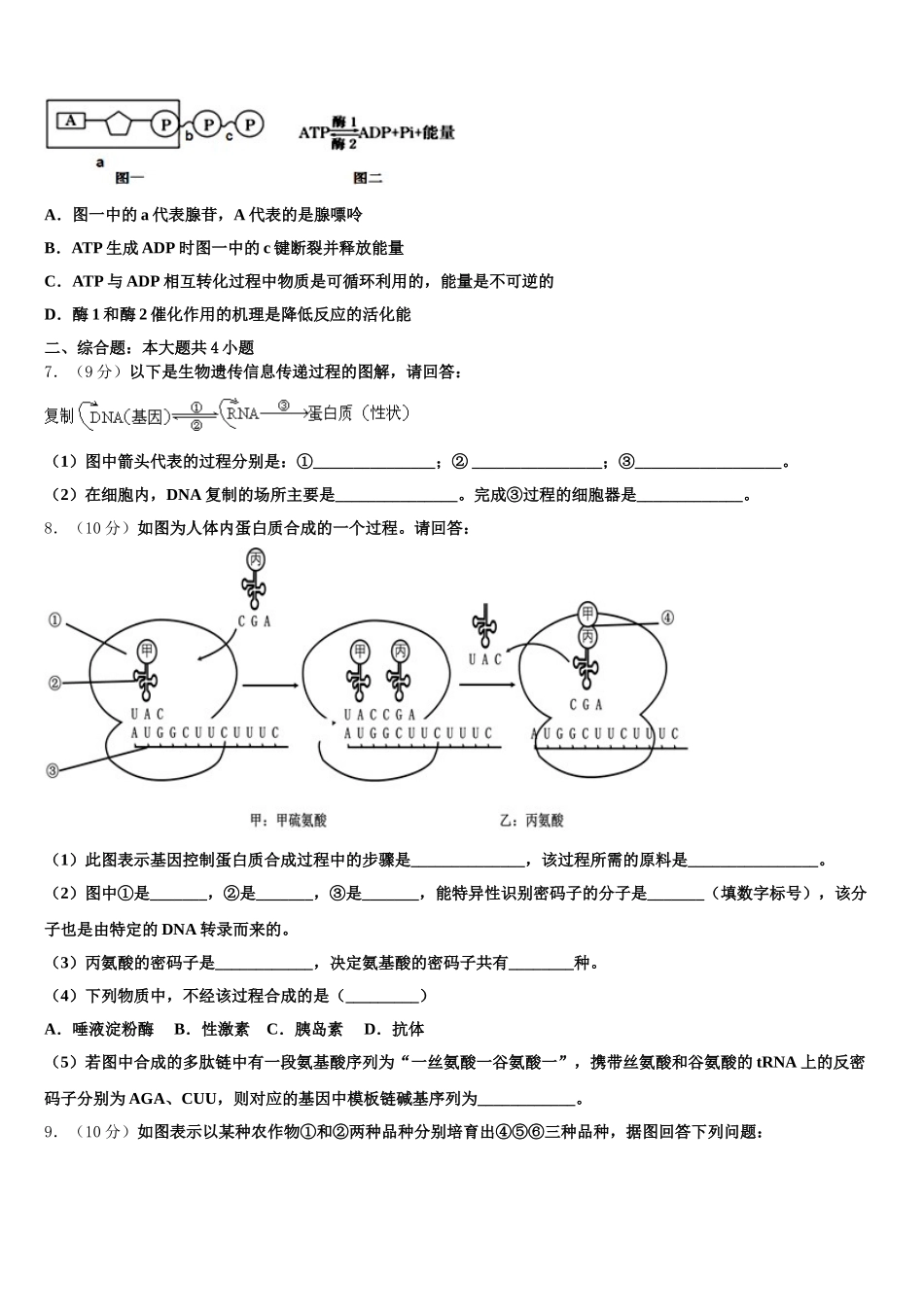 2024-2025学年山东省济省实验学校生物高一下期末经典模拟试题含解析_第2页