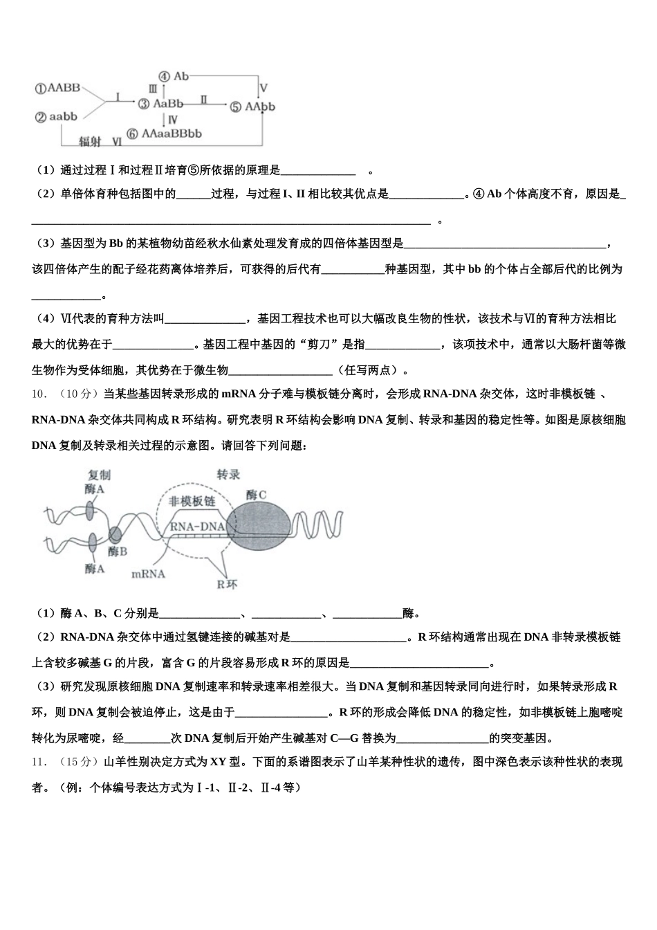 2024-2025学年山东省济省实验学校生物高一下期末经典模拟试题含解析_第3页