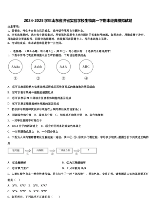 2024-2025学年山东省济省实验学校生物高一下期末经典模拟试题含解析