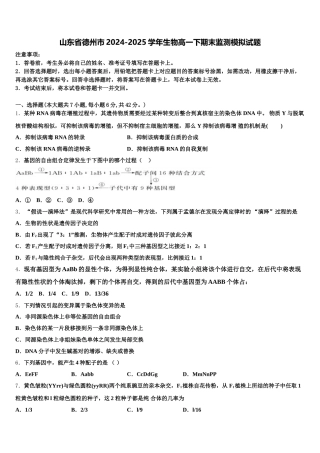 山东省德州市2024-2025学年生物高一下期末监测模拟试题含解析
