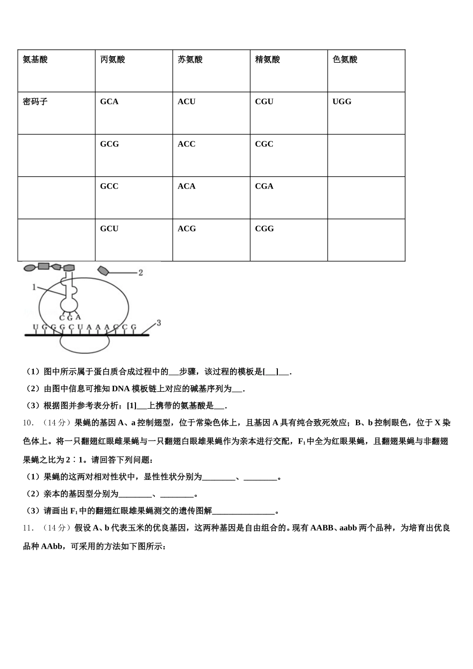 2025届山东省菏泽市第一中学老校区高一下生物期末考试模拟试题含解析_第3页