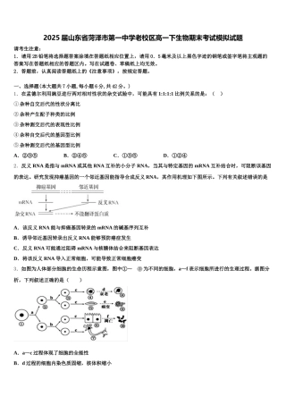 2025届山东省菏泽市第一中学老校区高一下生物期末考试模拟试题含解析