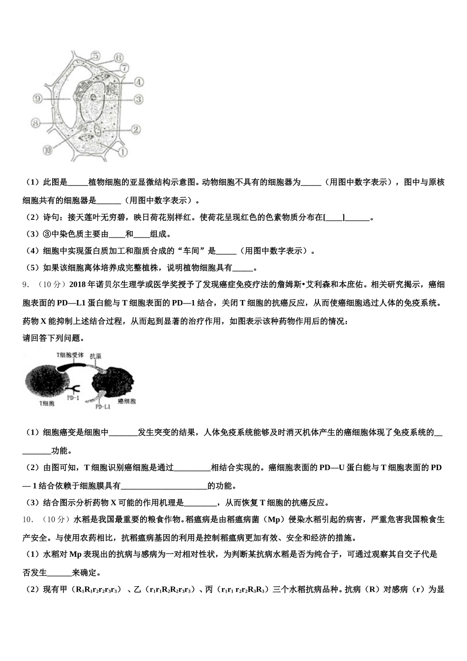 山东省武城县第二中学2024-2025学年生物高一第二学期期末教学质量检测试题含解析_第3页