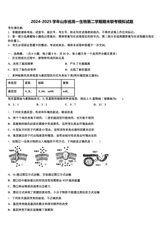2024-2025学年山东省高一生物第二学期期末联考模拟试题含解析