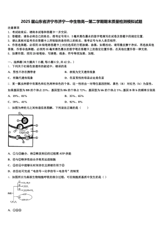 2025届山东省济宁市济宁一中生物高一第二学期期末质量检测模拟试题含解析