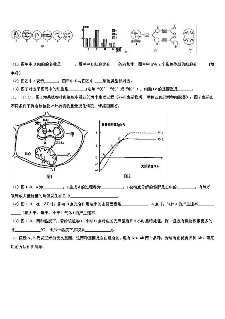 山东省德州市陵城区一中2025届高一下生物期末调研模拟试题含解析_第3页