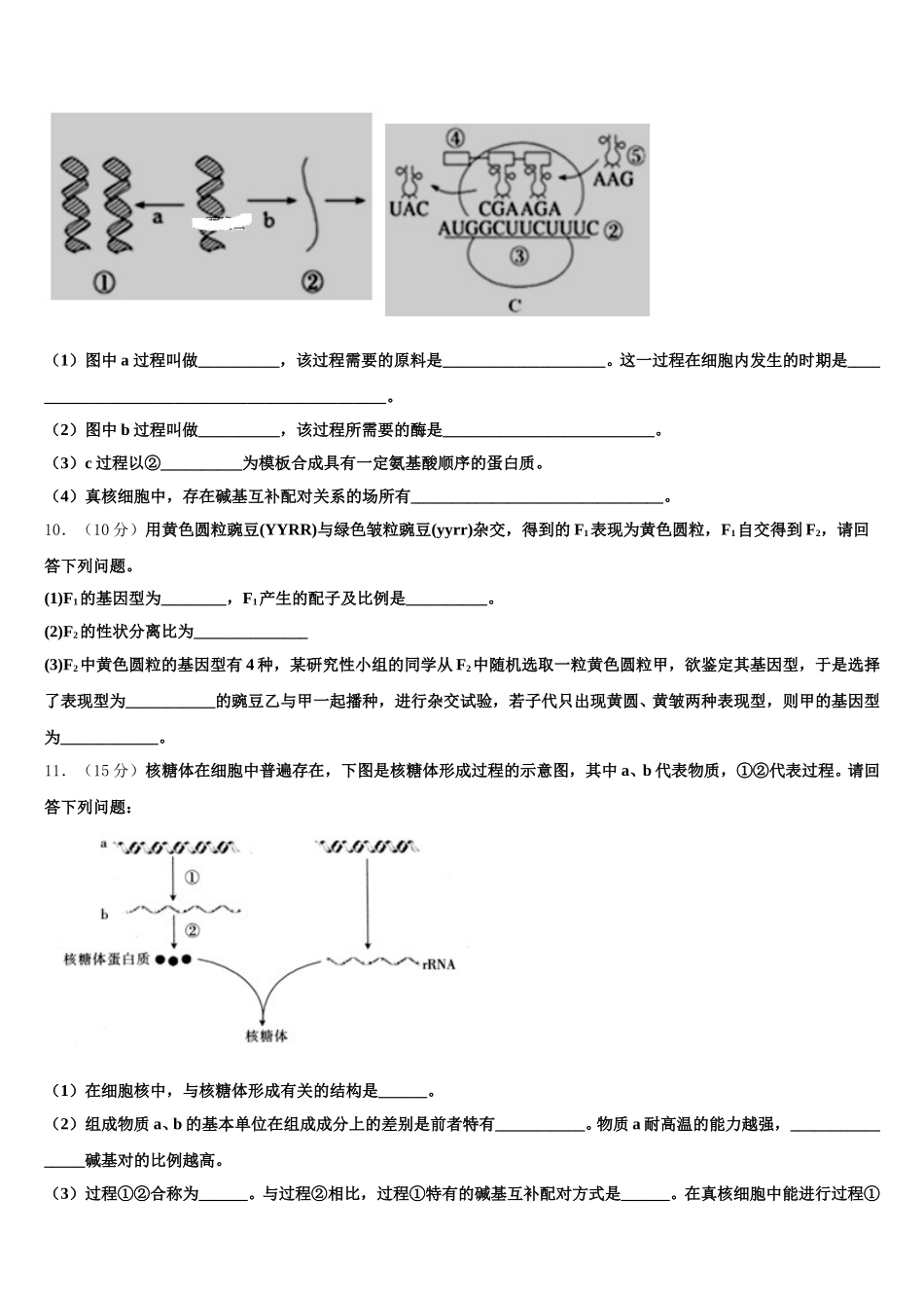 2025届山东省济南外国语三箭分校生物高一第二学期期末统考模拟试题含解析_第3页