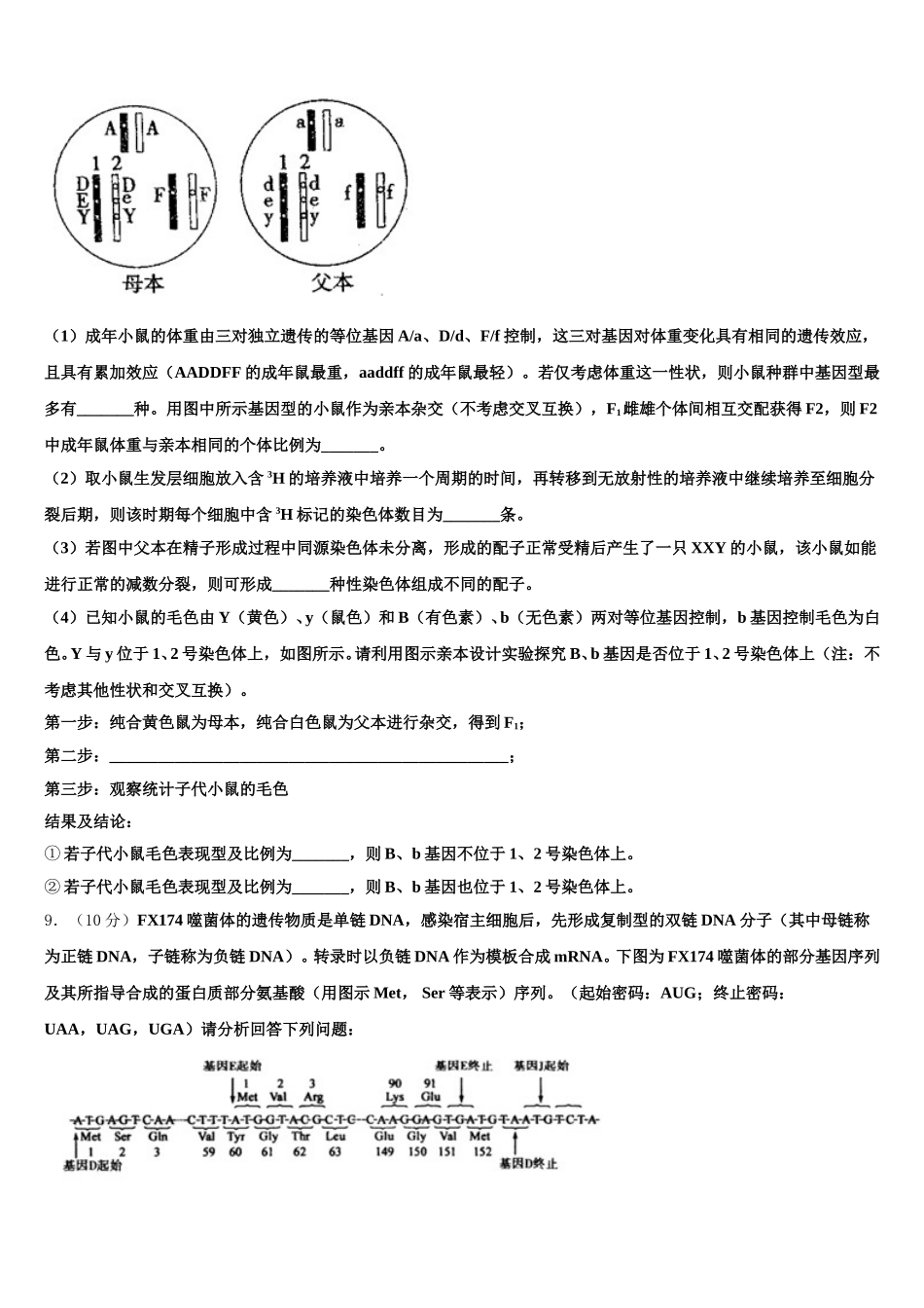 山东师大附中2024-2025学年生物高一下期末学业质量监测试题含解析_第3页
