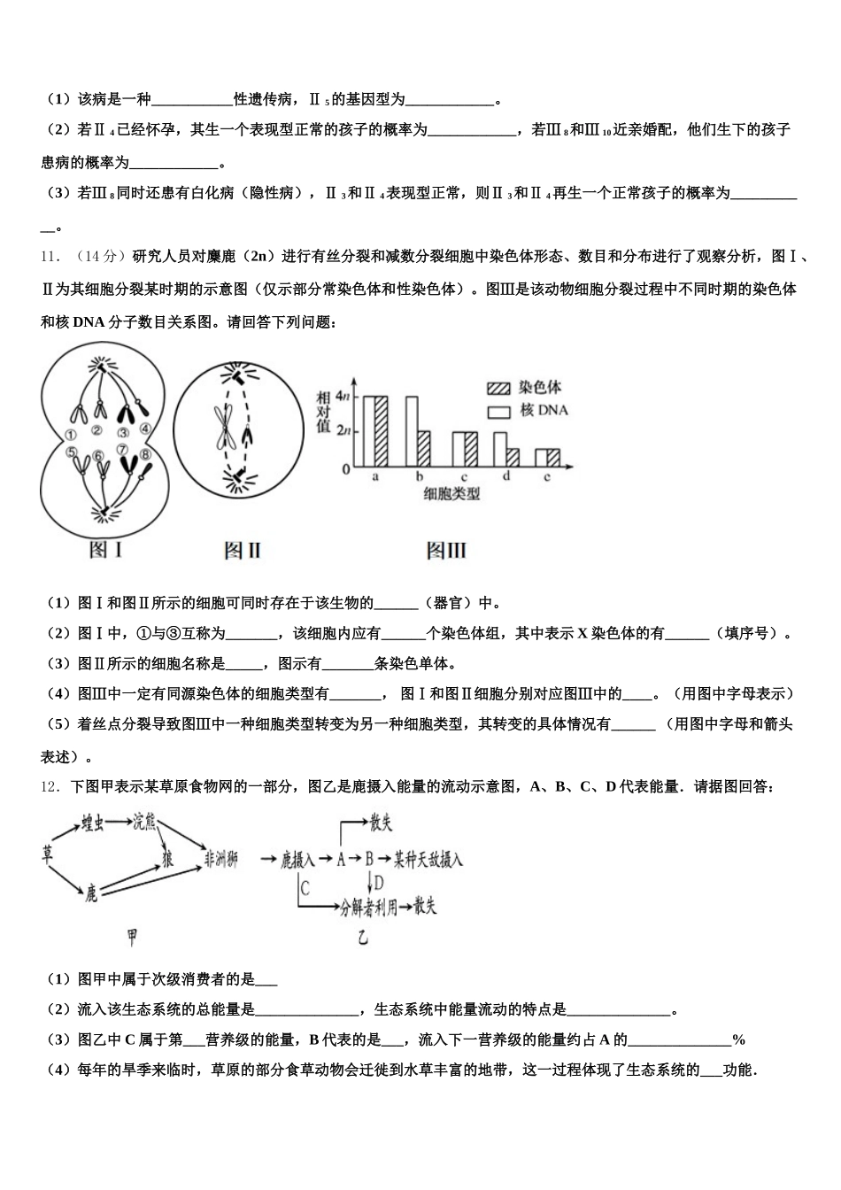 山东省邹城一中2025届生物高一下期末质量检测模拟试题含解析_第3页