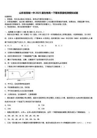 山东省邹城一中2025届生物高一下期末质量检测模拟试题含解析