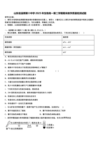 山东省淄博第十中学2025年生物高一第二学期期末教学质量检测试题含解析