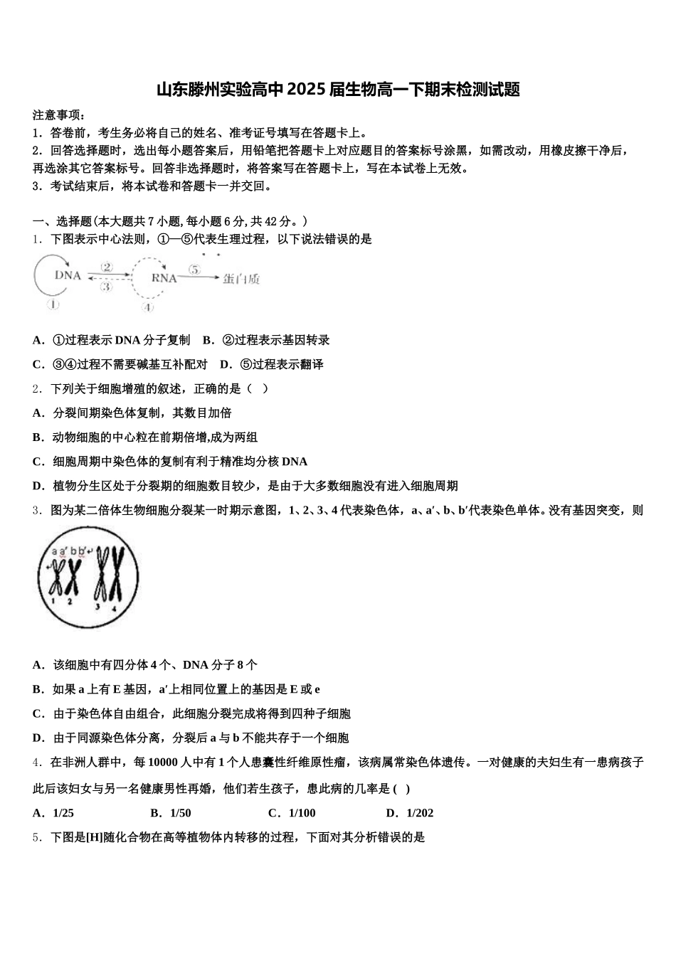 山东滕州实验高中2025届生物高一下期末检测试题含解析_第1页