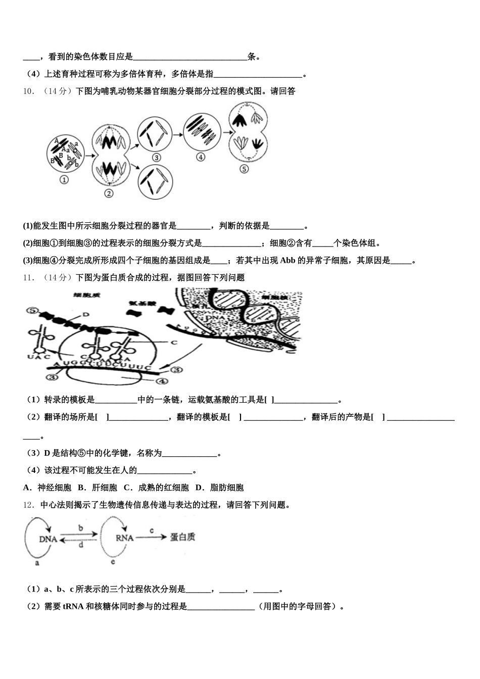 山东滕州实验高中2025届生物高一下期末检测试题含解析_第3页