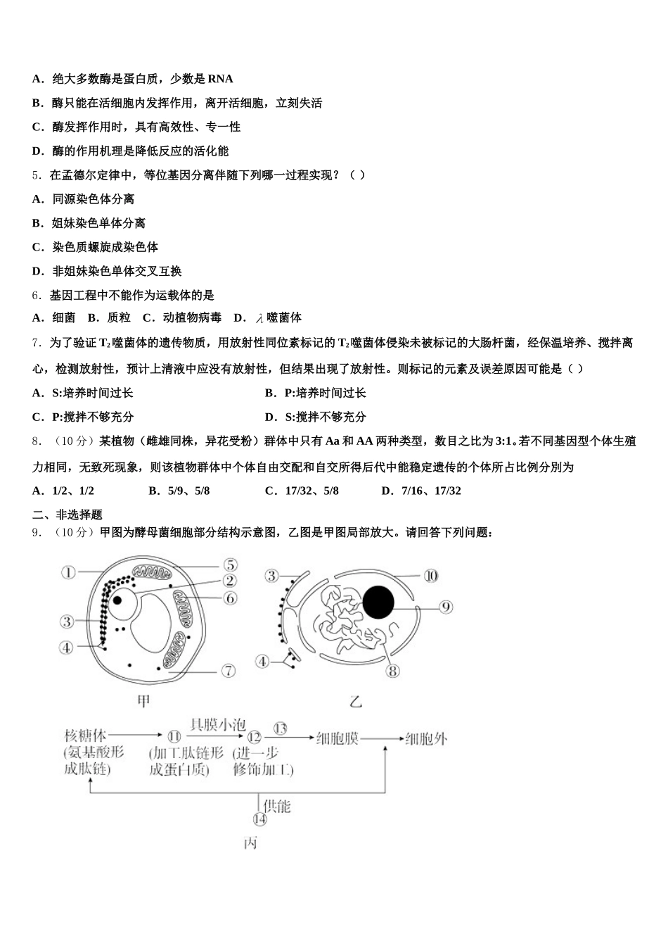 2024-2025学年山东省泰安市宁阳县第四中学生物高一下期末综合测试模拟试题含解析_第2页