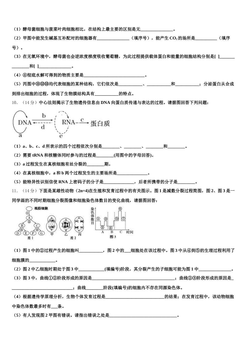 2024-2025学年山东省泰安市宁阳县第四中学生物高一下期末综合测试模拟试题含解析_第3页