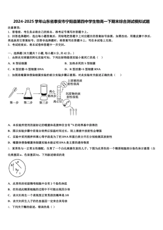 2024-2025学年山东省泰安市宁阳县第四中学生物高一下期末综合测试模拟试题含解析