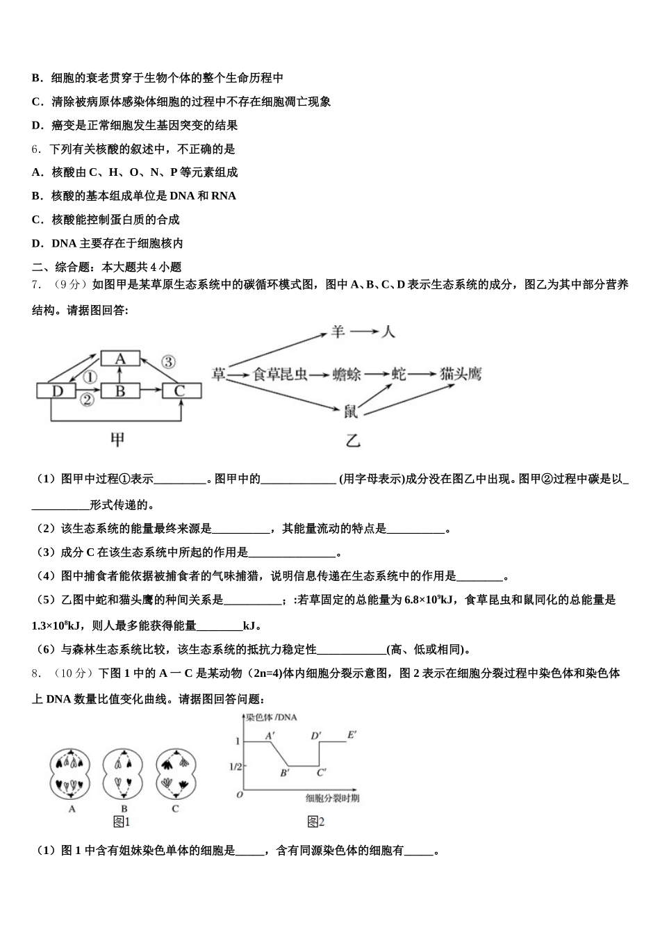 2025年山东省德州市陵城一中高一生物第二学期期末调研模拟试题含解析_第2页