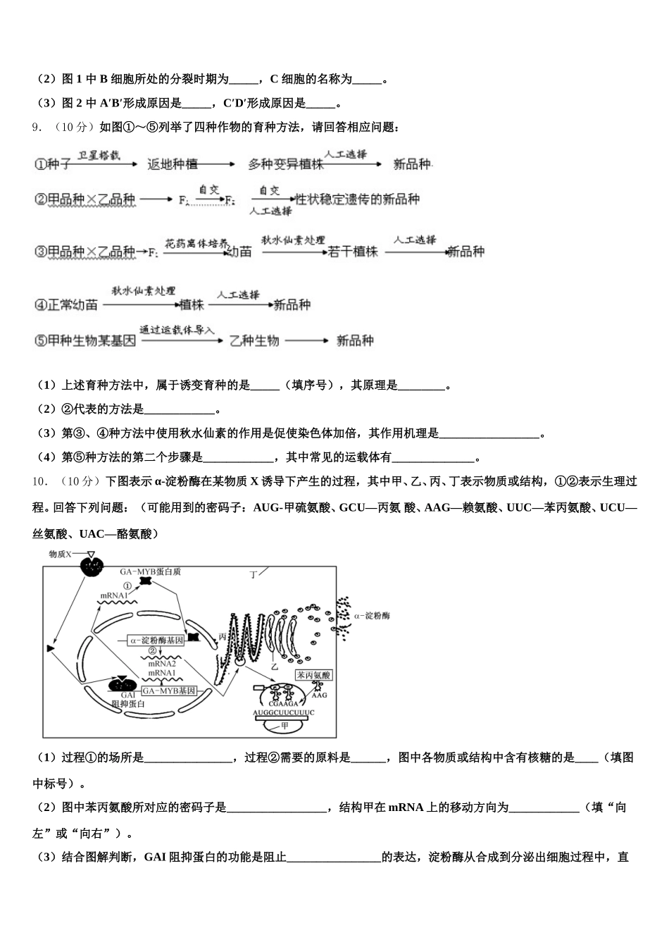 2025年山东省德州市陵城一中高一生物第二学期期末调研模拟试题含解析_第3页