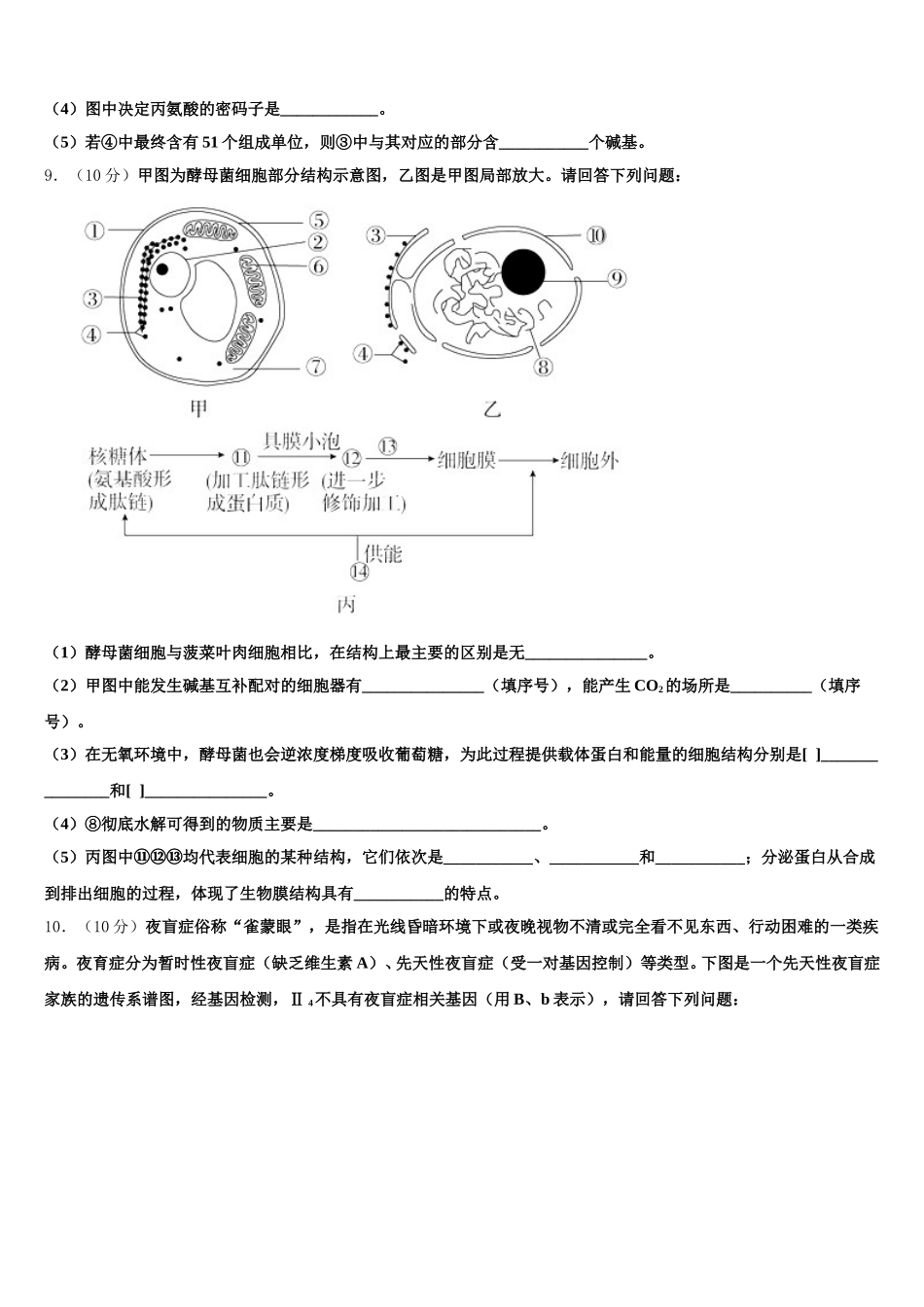 山东省潍坊第一中学2024-2025学年高一生物第二学期期末联考试题含解析_第3页