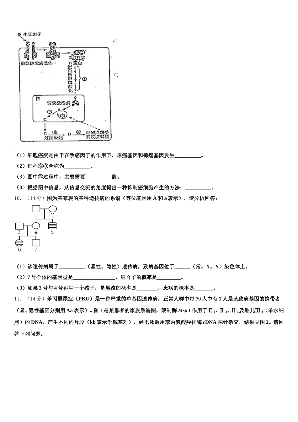山东省聊城市东阿县行知学校2024-2025学年高一下生物期末复习检测试题含解析_第3页