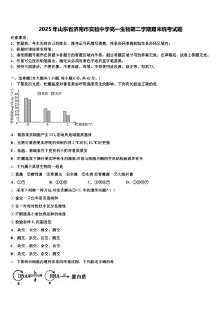 2025年山东省济南市实验中学高一生物第二学期期末统考试题含解析