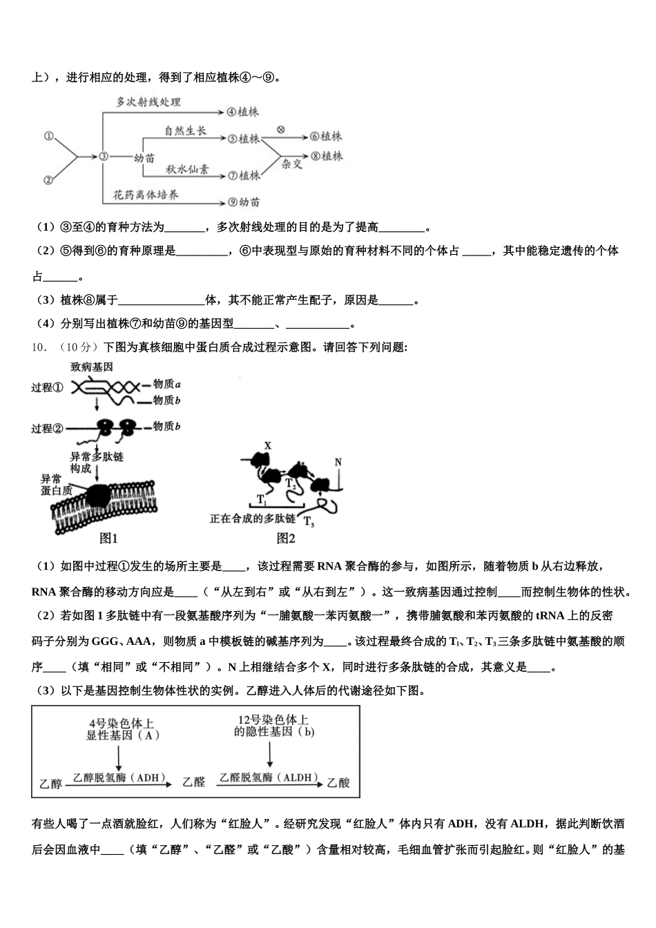 2025年泰安市重点中学生物高一下期末达标检测试题含解析_第3页