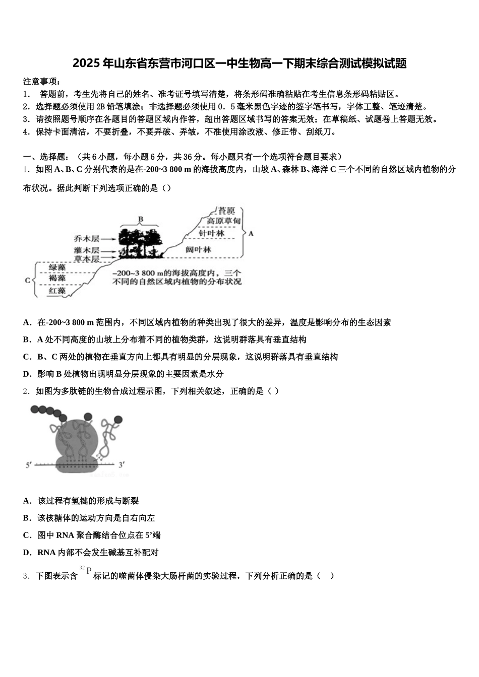 2025年山东省东营市河口区一中生物高一下期末综合测试模拟试题含解析_第1页