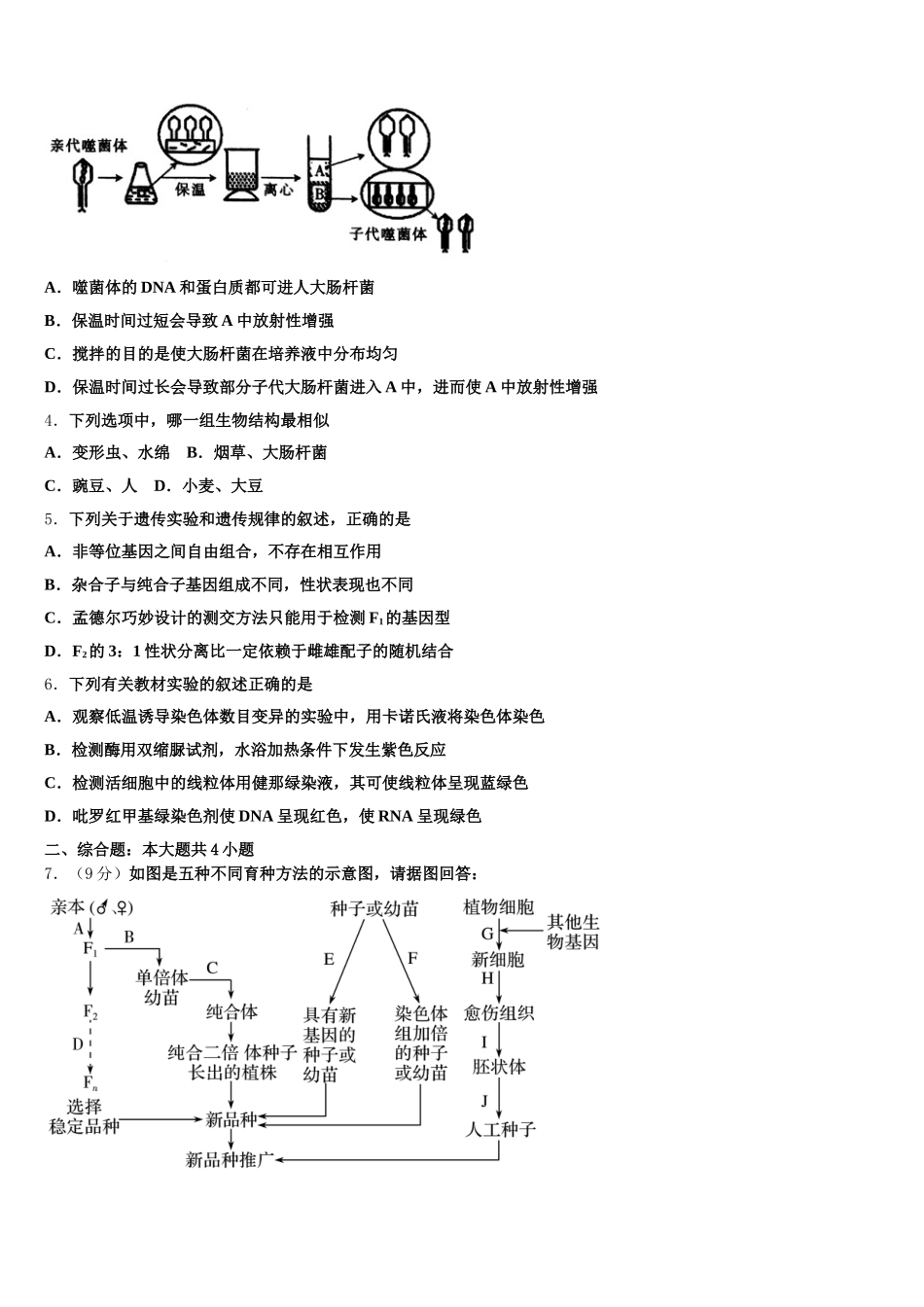 2025年山东省东营市河口区一中生物高一下期末综合测试模拟试题含解析_第2页