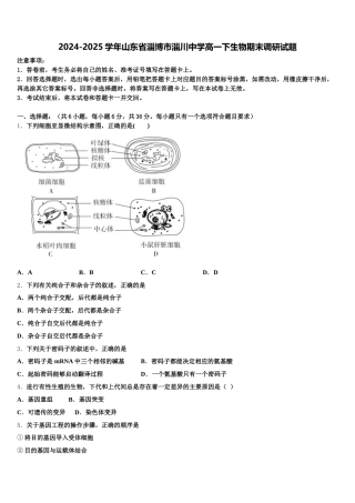 2024-2025学年山东省淄博市淄川中学高一下生物期末调研试题含解析