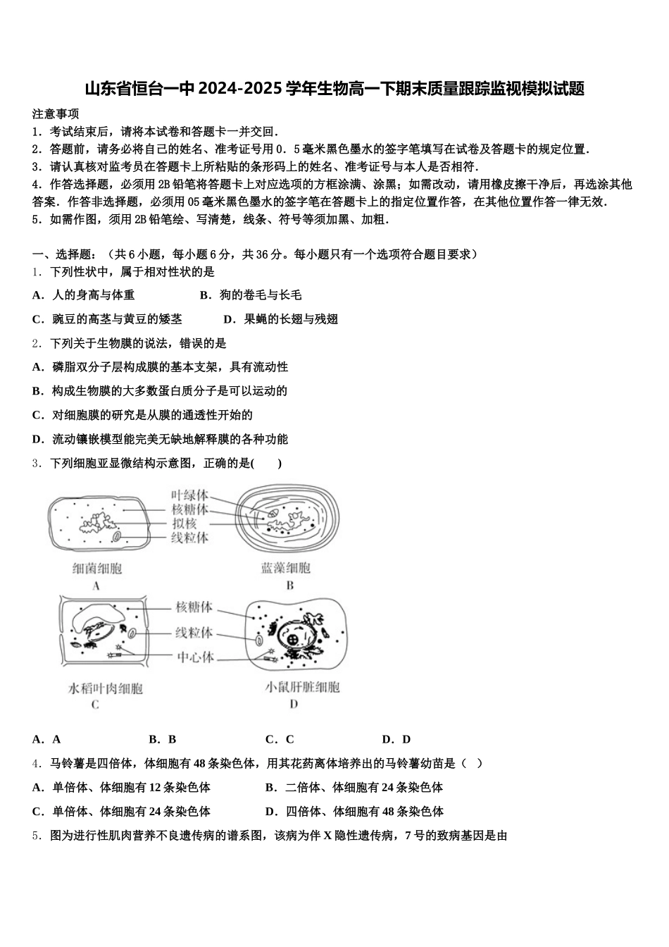 山东省恒台一中2024-2025学年生物高一下期末质量跟踪监视模拟试题含解析_第1页