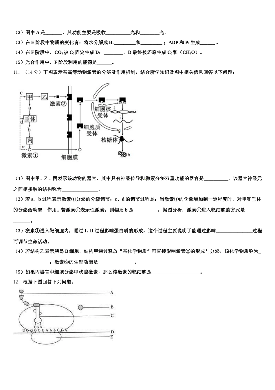 山东省昌邑市文山中学2025届生物高一下期末达标检测模拟试题含解析_第3页