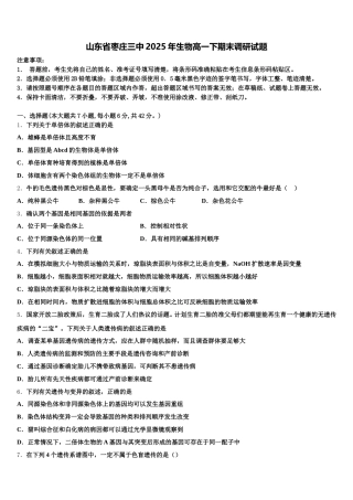 山东省枣庄三中2025年生物高一下期末调研试题含解析