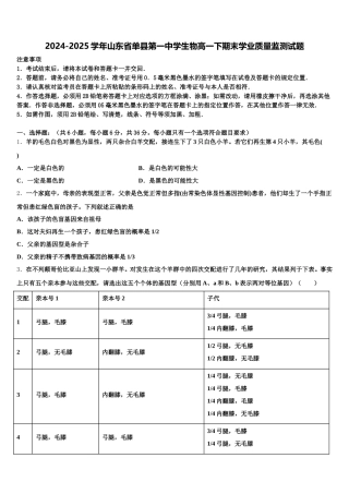 2024-2025学年山东省单县第一中学生物高一下期末学业质量监测试题含解析