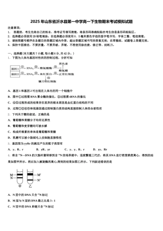2025年山东省沂水县第一中学高一下生物期末考试模拟试题含解析