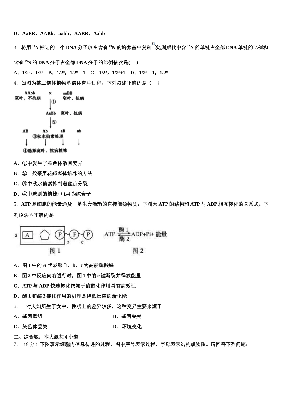 山东省文登第一中学2024-2025学年高一下生物期末统考模拟试题含解析_第2页