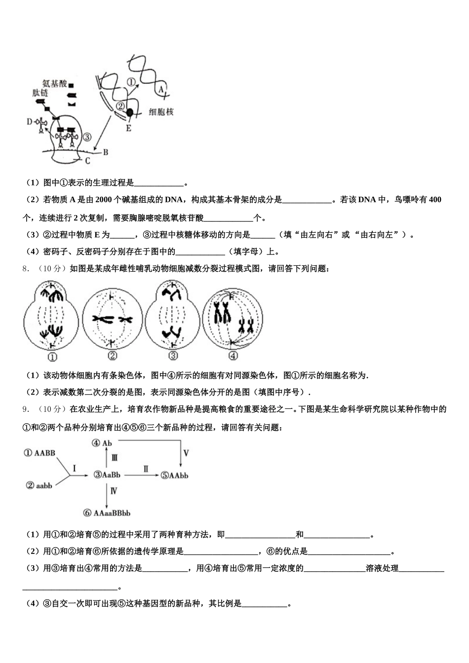 山东省文登第一中学2024-2025学年高一下生物期末统考模拟试题含解析_第3页