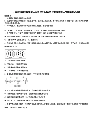 山东省淄博市临淄第一中学2024-2025学年生物高一下期末考试试题含解析