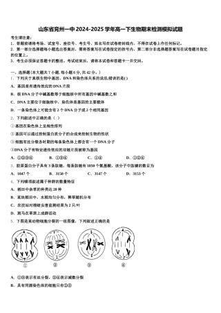 山东省兖州一中2024-2025学年高一下生物期末检测模拟试题含解析