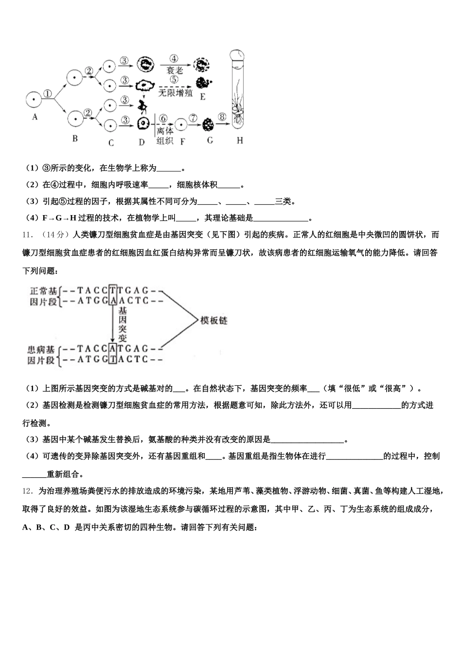 山东省潍坊市寿光市现代中学2025年高一生物第二学期期末综合测试试题含解析_第3页