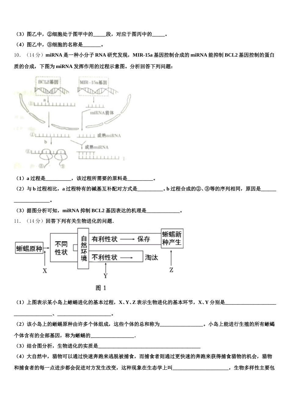 山东省新2025届高一下生物期末学业质量监测试题含解析_第3页